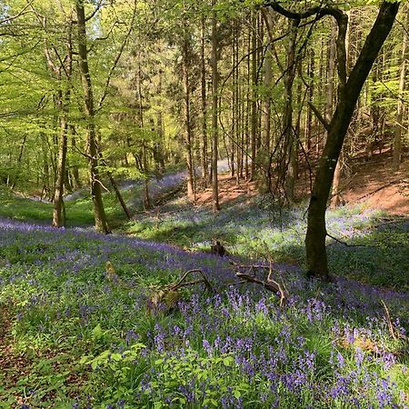 Вілла The Little Orchard Watlington  Екстер'єр фото