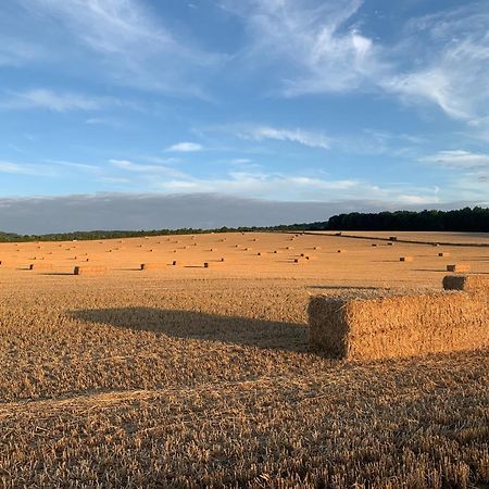 Вілла The Little Orchard Watlington  Екстер'єр фото