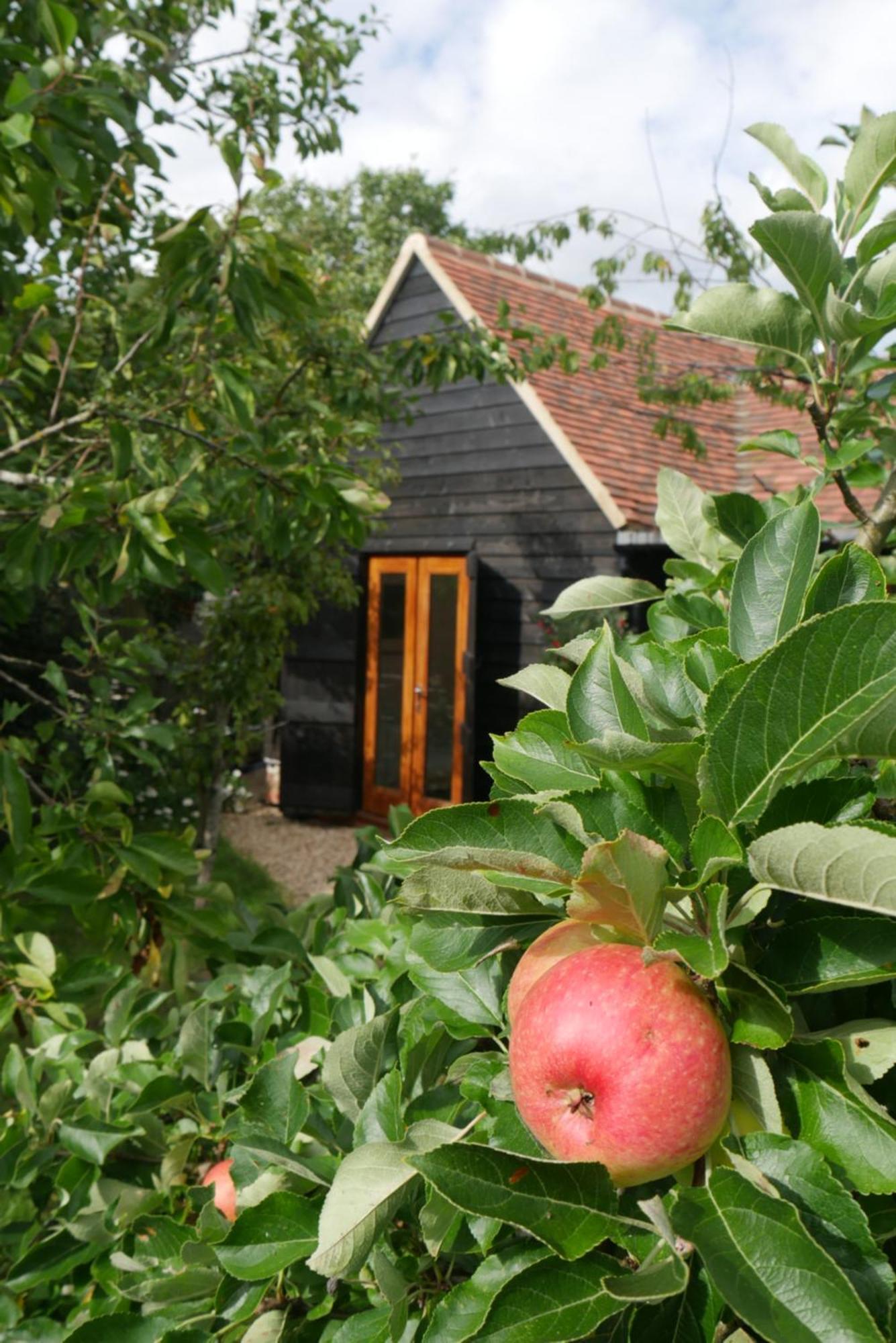Вілла The Little Orchard Watlington  Екстер'єр фото